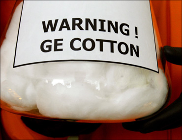 Greenpeace activists hold a bottle filled with GM cotton.