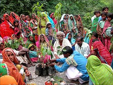 Tree planting initiative.