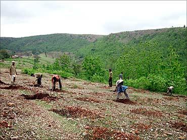 Tree planting by locals.