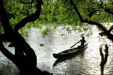 The backwaters of Kerala.
