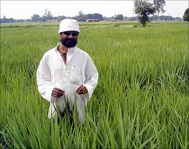 Prakash Singh in his field.