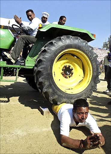 A participant performs a stunt where a tractor is driven over him near Ludhiana.