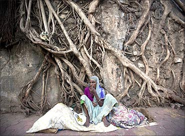 A homeless woman sits in front of the dried roots of a banyan tree.