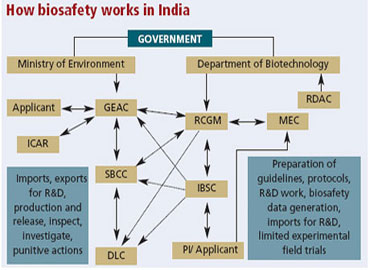 How biosafety works in India.