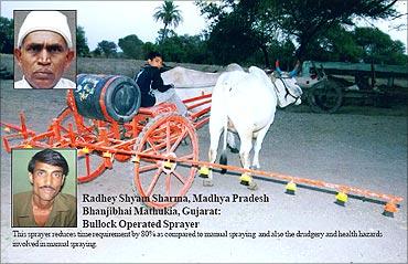 Bullock operated sprayer.