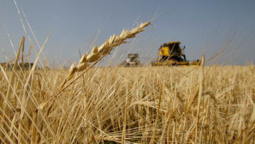 Crop failure in countries like Russia have had an adverse effect.