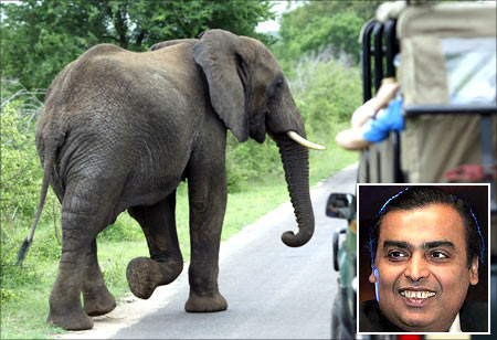 An elephant walks past a car load of tourists in South Africa's Kruger National Park. Mukesh Ambani (inset).