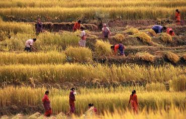 Nepal is ranked 16.