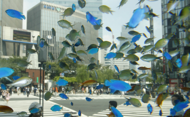 Tropical fish swim in an aquarium in Tokyo's Ginza shopping district.