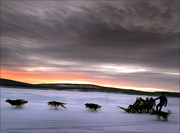 A dogsled team carries tourists in northern Sweden.