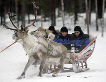 Tourists take part in the reindeer safari at Arctic Circle near Rovaniemi, northern Finland.