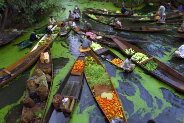 There has been an increase of more than 5 per cent in tourists. A view of Dal Lake in Kashmir.