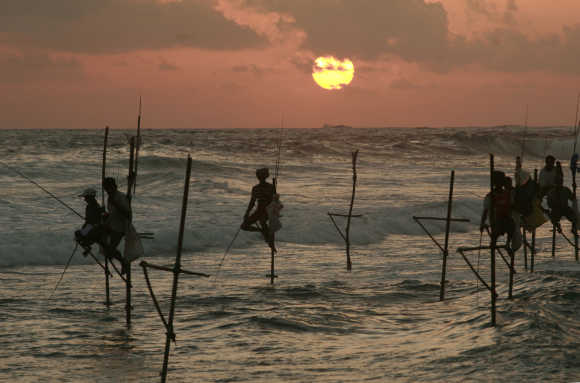 Fishermen sit on sticks while fishing in the traditional way in Koggala, south of Colombo.