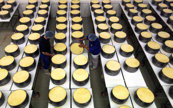 Employees work at a dairy plant in Litovel, one of the world's biggest producer of traditionally made parmesan cheese, in Italy.