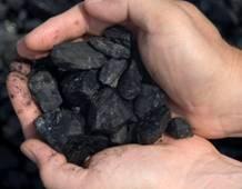 Coal