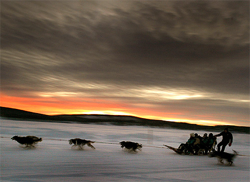 A dogsled team carries tourists down the frozen Torne River in Jukkasjarvi, above the Arctic Circle in northern Sweden.