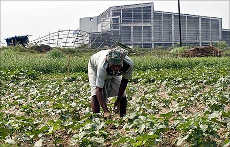 A farmer works a crop next to the closed Tata Motors Nano car factory in Singur, north of Kolkata.