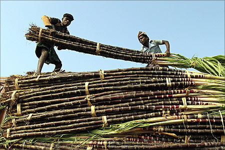Workers unload sugarcane from a truck at a wholesale fruit market in Chennai.
