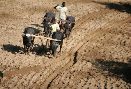 Agriculture credit target to be raised by Rs 100,000 crore.