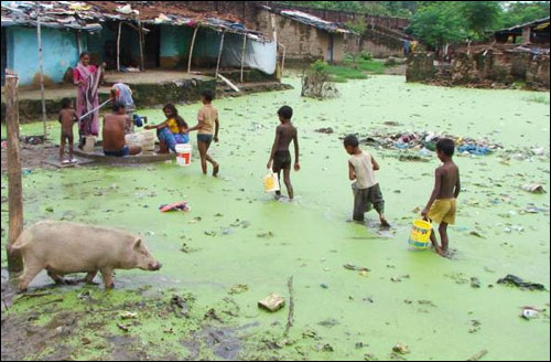 Slum dwellers collect drinking water from a submerged hand-pump after heavy rains.