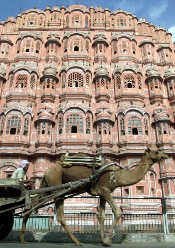 A camel rider in Jaipur.