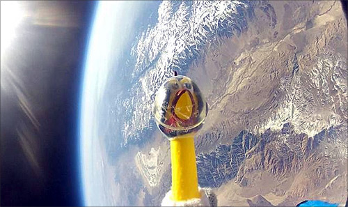 Camilla the rubber chicken is seen at 124,800 feet (38,039 m) above California in this NASA handout image dated March 3, 2012.
