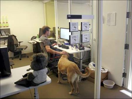 At the Google headquarters in Mountain View, California, an employee shares a moment with his dog in his office.