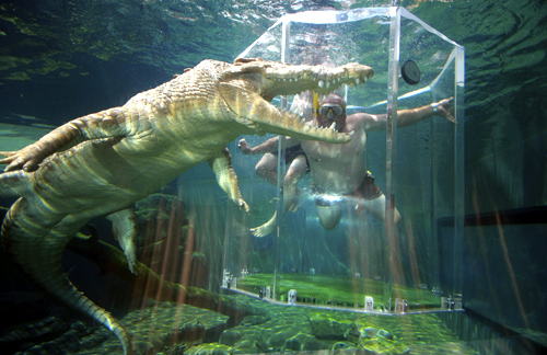 A tourist dives in a cage partially immersed in a crocodile pen in Crocosaurus Cove in Darwin