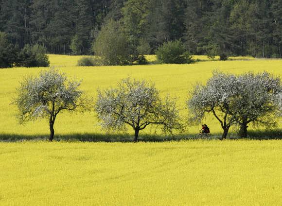 People ride on their bicycles near the Brdy military training area near the village of Podluhy, southwest of Prague.