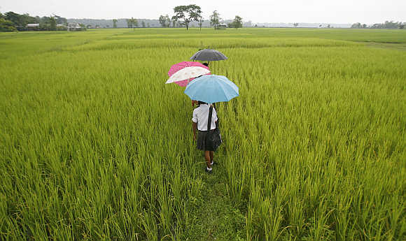 Schoolchildren on the outskirts of Siliguri, West Bengal.
