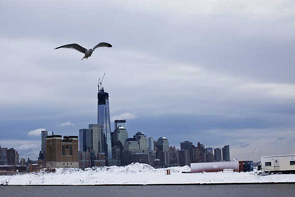 Skyline of New York's Lower Manhattan and One World Trade Center in the United States.
