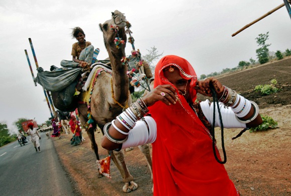 A nomadic woman from Rajasthan walks near a camel carrying her belongings.