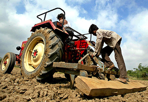 Farmers plough their field in Sanand village in Ahmedabad.