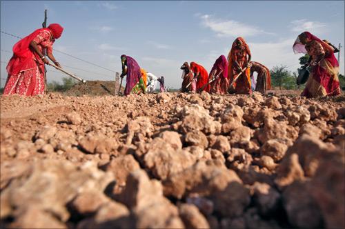 Village women labourers work at the construction site of a road at Merta district in Rajasthan.