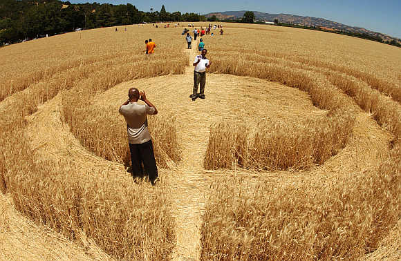 A man takes of photo of another man who is standing inside one of a number of crop circles in a wheat field near the town of Fairfield in California.