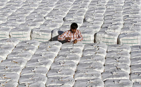 A trader checks stacked boxes of cotton before loading on to a truck inside a cotton processing unit at Kadi town, about 56km north of Ahmedabad.