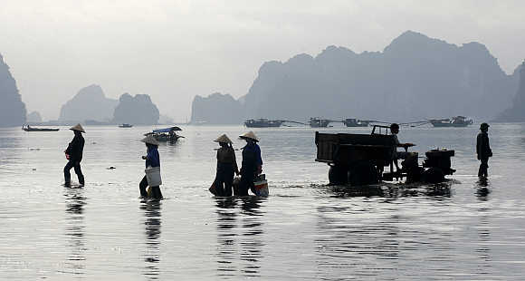 Seafood vendors walk at a fishing port in Cam Pha town in Quang Ninh province, 200km from Hanoi, Vietnam.