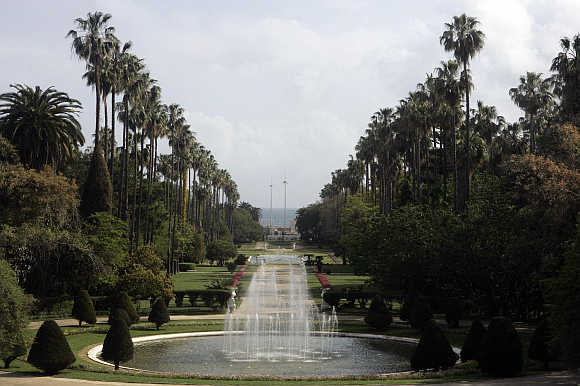 A view of Jardin Essai botanical garden at Hamma in Algiers, Algeria.