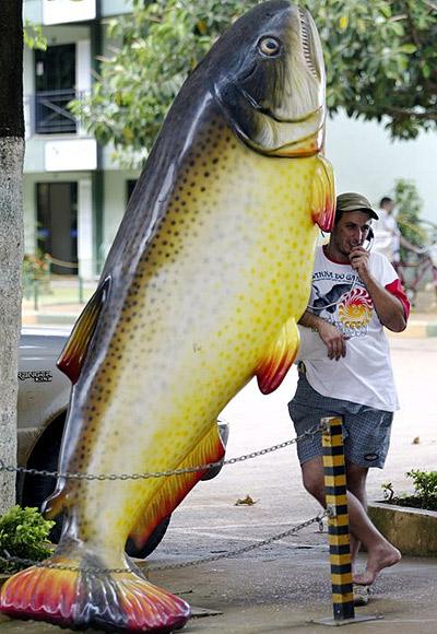 A pedestrian stops by to use public phones in booth uniquely shaped like the regions' wild animals in the town of Primavera do Leste, near the capital city of Cuiaba in Mato Grosso state.