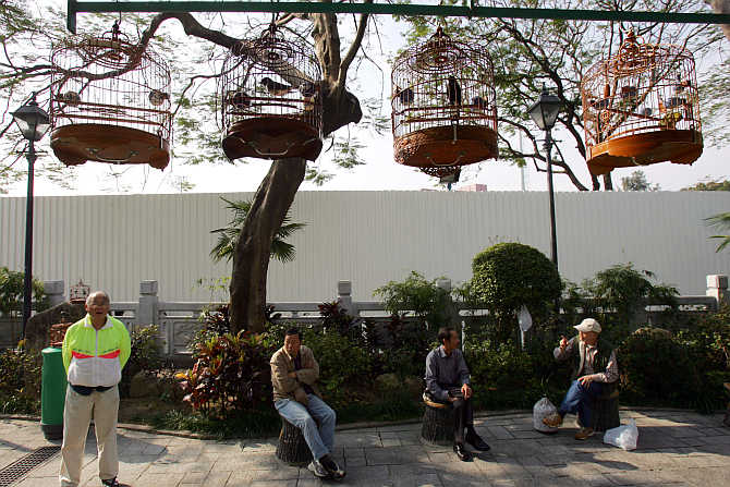 Residents rest at Bird Street Garden, a market catering to bird lovers, in Hong Kong.