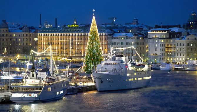 A 36-metre tall Christmas tree is lit up in central Stockholm.