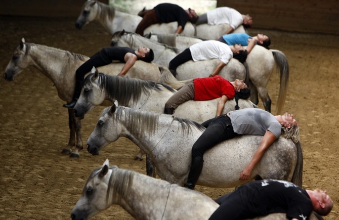 Riders practice for a show on their horses at a farm in Kaposmero, 190 km west of Budapest, Hungary.