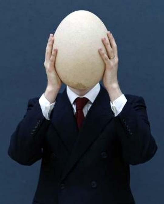 Sub-fossilized elephant bird egg.