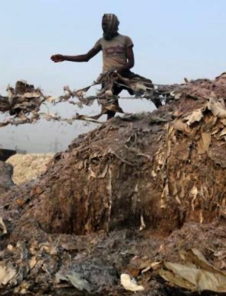 A labourer stands on a heap of scrap leather to be burnt in an oven for making fertiliser at a factory in Kolkata.