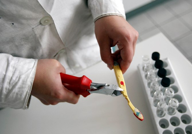 A technician takes a sample from a toothbrush to measure how much of phthalates it contains during a demonstration at a laboratory,
