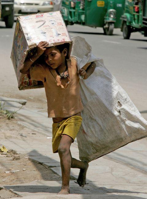 A child picks old cartons for a living.