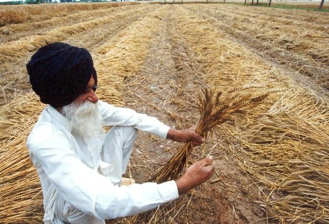 A farmer works at a field near Chandigarh.