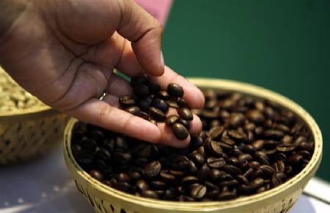 Tata Global is keen to sell coffee beans for making coffee at home