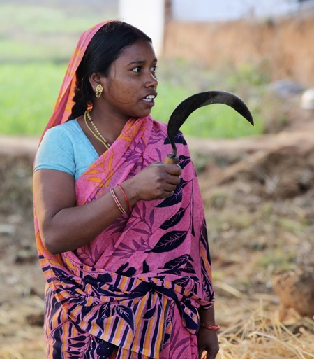 Anita Kushwaha, 24, cuts fodder for her cattle in Budher village in Singrauli district in Madhya Pradesh.