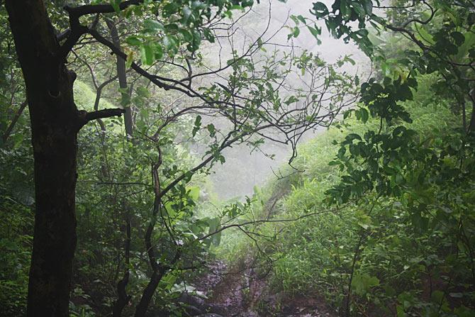 A glimpse of the Western Ghats.